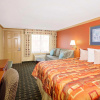 Отель Knights Inn Port Charlotte, фото 3