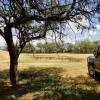 Отель Eagle Rock  Guest Farm, фото 30