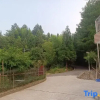 Отель Zhangjiajie Xiangjia Xiaoyuan Homestay, фото 9