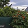 Отель Nafplio BREEZE Άνετη κατοικία από 4 έως 8 επισκέπτες, фото 20