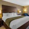 Отель Comfort Inn, фото 27