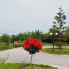 Отель Olive Mansion Suites, фото 1