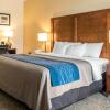 Отель Comfort Inn Apalachin / Binghamton W Route 17, фото 16