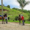 Отель Finca Hotel Los Guayacanes, фото 18