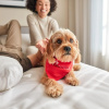 Отель Virgin Hotels Nashville, фото 25