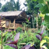 Отель Tetebatu Sama Sama Bungalows, фото 15