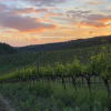 Отель Crognole 6 in Radda in Chianti, фото 21