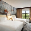 Отель Embassy Suites by Hilton San Antonio Airport, фото 22