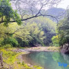 Отель Zhuxian Mountain Villa, фото 5