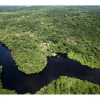 Отель Cristalino Jungle Lodge, фото 9