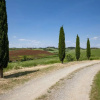 Отель Tuscan Farmhouse in Peccioli with Swimming Pool near Lakes, фото 40