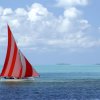 Отель Sugar Beach Mauritius, фото 19