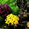 Отель Green Garden, фото 22