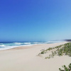 Отель Caribbean Estate Deluxe, фото 25