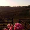 Отель Immersi nella campagna Toscana, фото 6