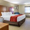 Отель Comfort Inn Lancaster  Rockvale Outlets, фото 29