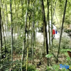 Отель Hualong Village Hotel, фото 6