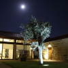Отель Casa Valxisto Country House, фото 1