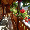 Отель Pensiunea Lucica, фото 16