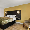 Отель Travel Inn White Pine, фото 4