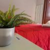 Отель B&B Fiumicino Inn Airport, фото 3