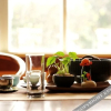 Отель Xian Lime Hotel, фото 10