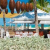 Отель Alexandra Resort - All-inclusive, фото 16