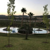 Отель Lilac Gardens Resort, фото 30