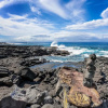 Отель Kona Makai 1-204, фото 39