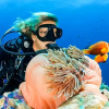 Отель Sunshine Guesthouse and Diving school Room Nr 5, фото 13