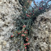 Отель La Residenza, фото 35