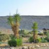 Отель Succah in the Desert, фото 11