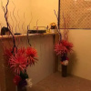 Отель CITI Island Suites, фото 10