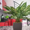 Отель Villa Puncak Garuda E18 - Nggo Ngaso, фото 16