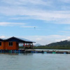 Отель Dream Cage Fish Farm Floating Chalet, фото 7