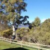 Отель Mole Creek Lodge, фото 10