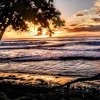 Отель Surf Break at Paunch, фото 19