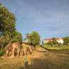 Отель Mondulkiri Hotel, фото 6