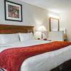 Отель Comfort Suites South Burlington, фото 3