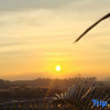 Отель Wanning Shiqi Homestay (Wanning Shenzhou Station), фото 11