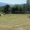 Отель Agriturismo Casa Agricola Rossi Appartamenti in Casentino, фото 30