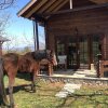 Отель Olympus Horse Riding Club Wooden Horse House Nafar, фото 6