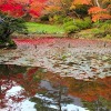 Отель Shikino Yado Minoya Hotel, фото 13