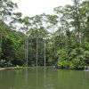 Отель Hacienda Sueño Azul, фото 45