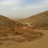 Отель Desert Camping Israel - Hostel, фото 29