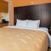 Отель Quality Inn & Suites, фото 9