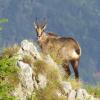 Отель Camping Castelpietra, фото 15