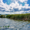 Отель Lake Seminole Country Cabins, фото 16