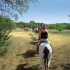 Отель Mayan Dude Ranch, фото 11