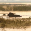 Отель Mukambi Safari Lodge, фото 12